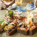 Naga Prathista (including idol)