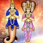 Sarpa Shanthi, Rahu Ketu Shanthi