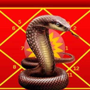 Kaal Sarpa Dosha Homam at Rameshwaram